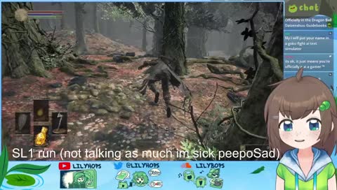 SL1 continued (level one character) zzzzz <(＿ ＿)>