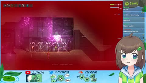 little witch macadamia