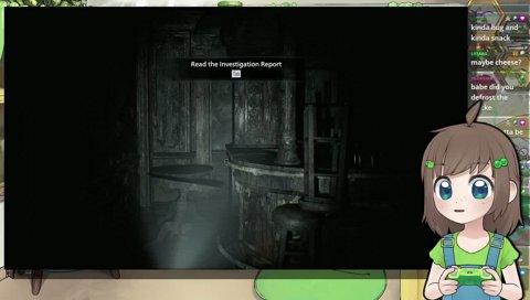 lily investigates