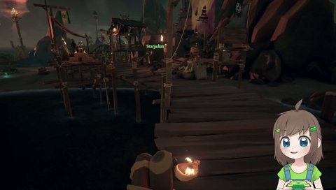 Pirate partners! (PPs)