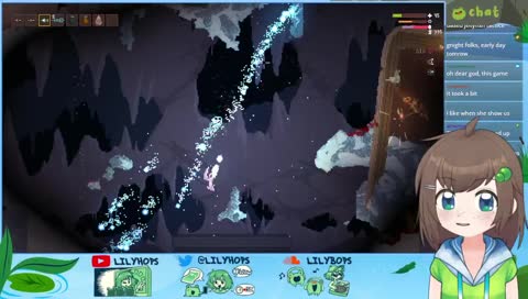 little witch macadamia