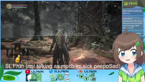 SL1 continued (level one character) zzzzz <(＿ ＿)>