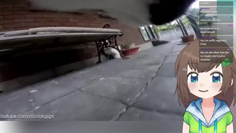 Lily's life full of adventures and excitement... probably, probably not