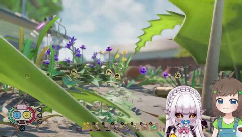 Lily has Jerma merch