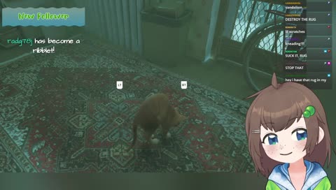 nice rug big bro lol