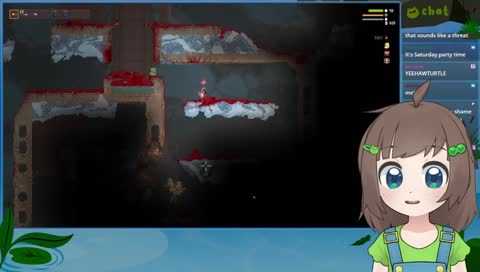 tales of "the ducks" 2