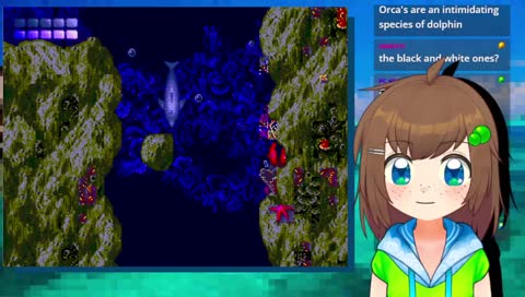 playing with dolphins💚 TROPICAL ISLAND SUMMER WEEK💚 i collabed yesterday💚 so it is technically day 3 💚 day 3