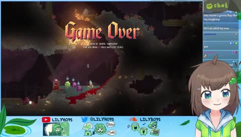 little witch macadamia