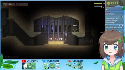 little witch macadamia