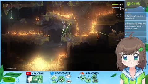 little witch macadamia