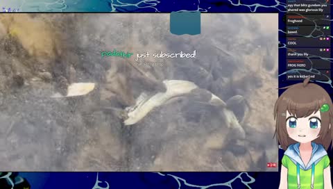 watching mini cooking vids