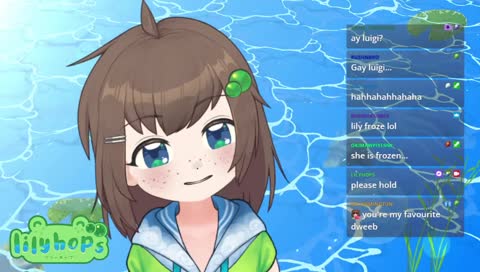 The Disappearance of Lily Hopkins