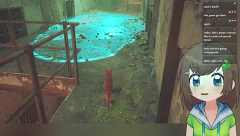 boots and cats and boots and cats