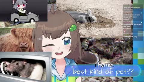 lily hopkins saves the animals! 💚