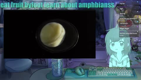 Noo, it's endangered!