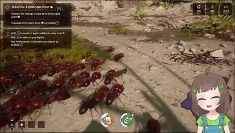 stingless bees roasted