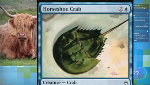 lily hopkins saves the animals! 💚