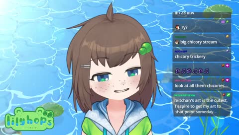 the big big chicory stream