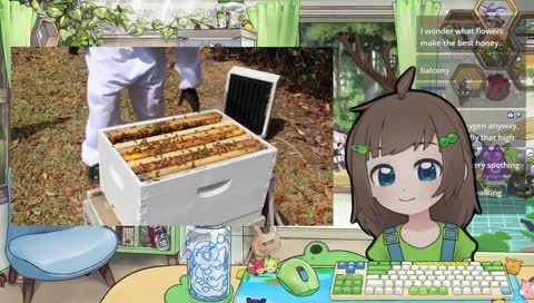 how to get the bees off