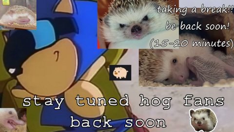 why butterfly is not invited to the dance