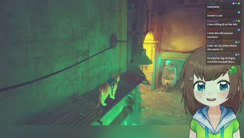 Cute cat Lily! CUTE!