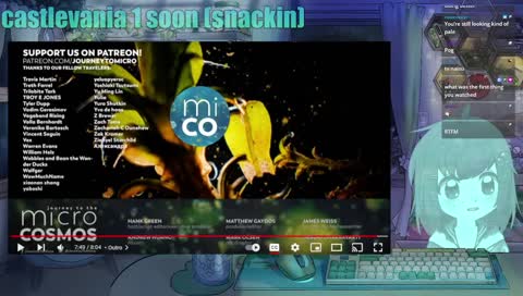 Kongou's laugh scares Lily