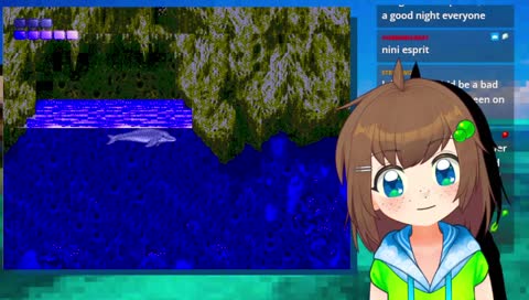 playing with dolphins💚 TROPICAL ISLAND SUMMER WEEK💚 i collabed yesterday💚 so it is technically day 3 💚 day 3