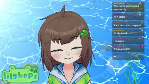 penguin quest online !model