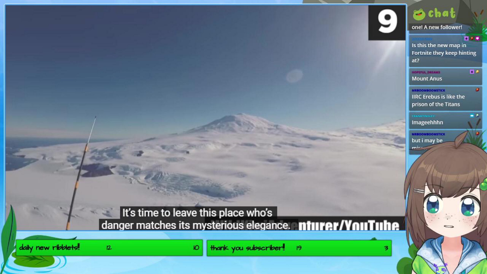 the big big chicory stream