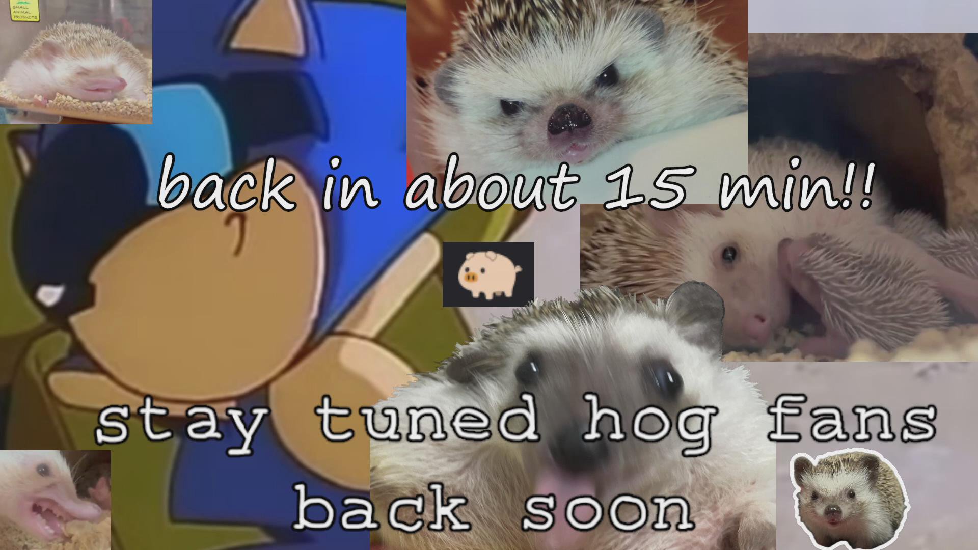 the final hours! | my first mahjong tournament! | 260/300 hours streamed in june 💯💯💯